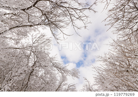雪山登山(大分県九重町) 雪山登山(大分県九重町) 119779269