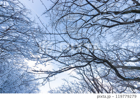 雪山登山(大分県九重町) 雪山登山(大分県九重町) 119779279