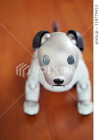 威嚇する犬型ロボット 119779411