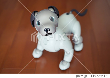 かわいい犬型ロボット かわいい犬型ロボット 119779412