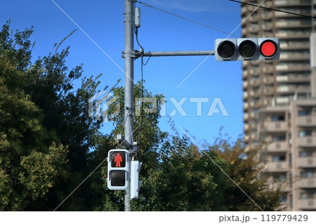 信号機 119779429