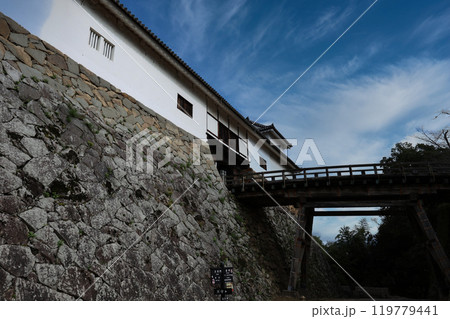 彦根城天守閣 119779441
