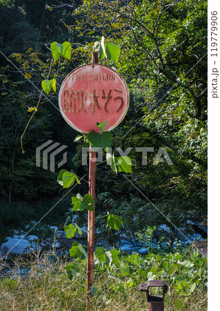 岐阜県妻籠標識と蔦 岐阜県妻籠標識と蔦 119779906