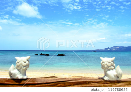 沖縄の青い海とシーサー 沖縄の青い海とシーサー 119780625