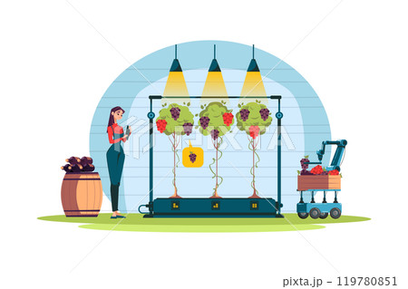 Smart robotic farmers analyze the growth and harvesting of fresh grape plants growing in the vineyard 119780851
