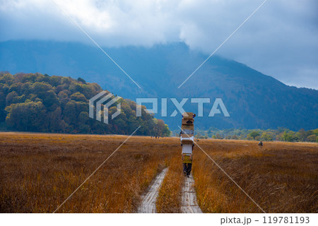 尾瀬の木道を行く歩荷 119781193