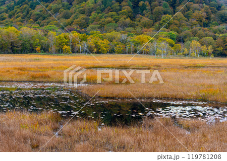 秋の尾瀬ヶ原 119781208