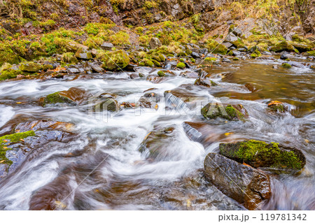 秋保大滝　秋　紅葉　日本三大瀑布　仙台市の景勝地　国指定名勝　日本の滝百選 119781342