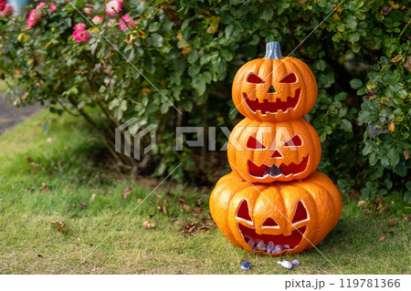 ジャックオーランタンのオブジェ　バラ園 119781366