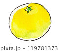 水彩で描いたみかん 119781373