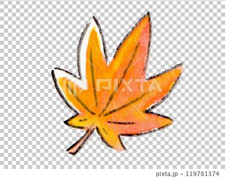 紅葉したカエデの葉 119781374