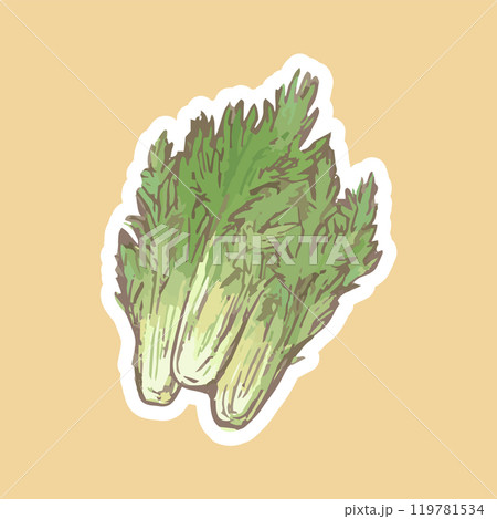 水菜_シンプルな野菜イラスト手描きアイコン_カラーバック 水菜_シンプルな野菜イラスト手描きアイコン_カラーバック 119781534