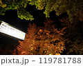 札幌中島公園、紅葉ライトップ　Autumn Illuminations 119781788