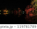 札幌中島公園、紅葉ライトップ　Autumn Illuminations 119781789