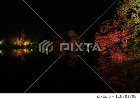 札幌中島公園、紅葉ライトップ Autumn Illuminations 札幌中島公園、紅葉ライトップ Autumn Illuminations 119781789