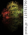 札幌中島公園、紅葉ライトップ　Autumn Illuminations 119781790