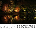 札幌中島公園、紅葉ライトップ　Autumn Illuminations 119781791