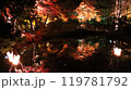 札幌中島公園、紅葉ライトップ　Autumn Illuminations 119781792