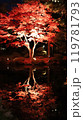 札幌中島公園、紅葉ライトップ　Autumn Illuminations 119781793
