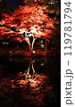 札幌中島公園、紅葉ライトップ　Autumn Illuminations 119781794