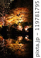 札幌中島公園、紅葉ライトップ　Autumn Illuminations 119781795
