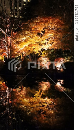 札幌中島公園、紅葉ライトップ　Autumn Illuminations 119781795