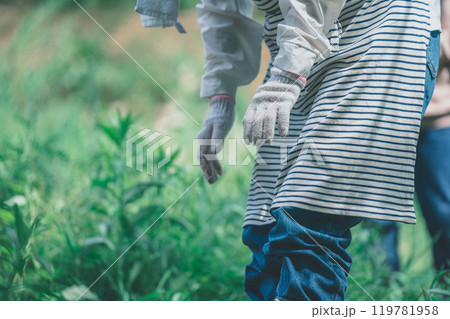 畑仕事をする女性が立ち上がる姿 119781958