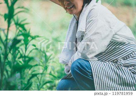 畑の草取りをする女性 畑の草取りをする女性 119781959