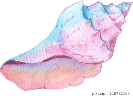 Pink-blue Conch Seashell, Watercolor Hand-drawn Illustration 119782169