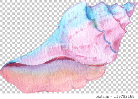 Pink-blue Conch Seashell, Watercolor Hand-drawn Illustration 119782169