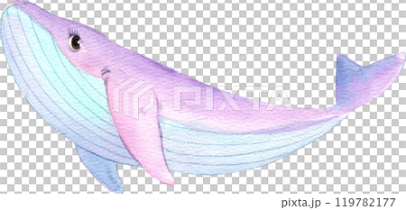 Pink Whale Cartoon Marine Animals, Watercolor Hand-drawn Illustration 119782177
