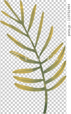 Green leaf branch, hand-drawn watercolor painting illustration 119782464