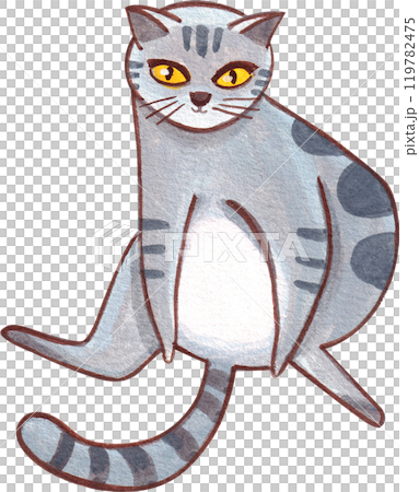 gray and white cat with dark gray stripes sitting upright, hand-drawn watercolor painting illustration 119782475