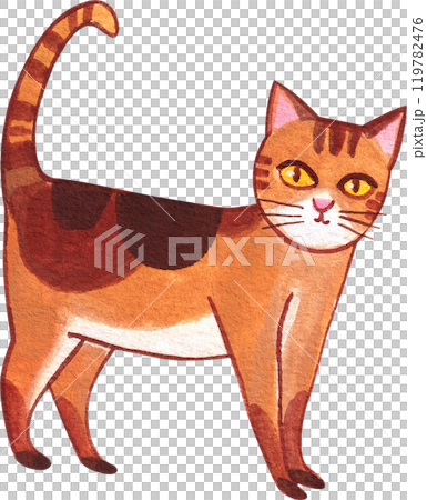orange cat with brown stripes standing sideways, hand-drawn watercolor painting illustration 119782476