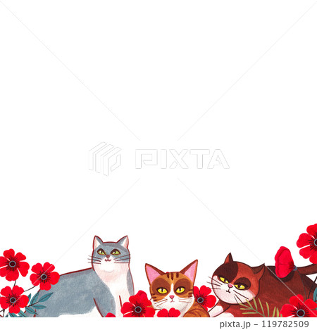 A gray, orange and brown cat is sitting in a bush of bright red flowers., hand-drawn watercolor frame design 119782509