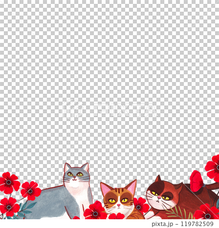 A gray, orange and brown cat is sitting in a bush of bright red flowers., hand-drawn watercolor frame design 119782509