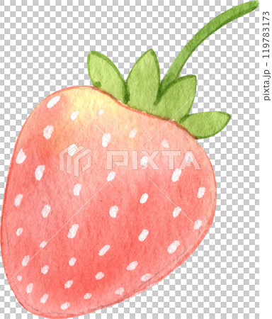 cute red strawberry fresh, pastel watercolor, hand-drawn watercolor illustration cute red strawberry fresh, pastel watercolor, hand-drawn watercolor illustration 119783173