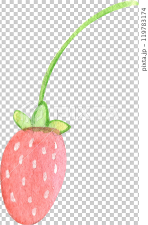 cute red tiny strawberry fresh, pastel watercolor, hand-drawn watercolor illustration cute red tiny strawberry fresh, pastel watercolor, hand-drawn watercolor illustration 119783174
