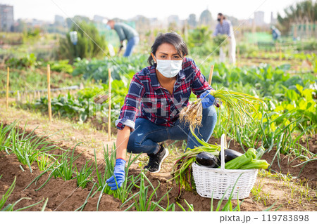 Latina farmer near garden beds wearing face mask for prevention corona virus disease Latina farmer near garden beds wearing face mask for prevention corona virus disease 119783898
