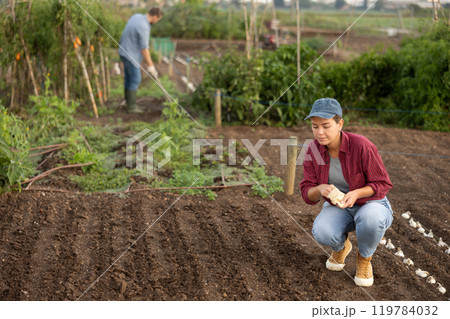 Female farmer planting seeds in the garden Female farmer planting seeds in the garden 119784032