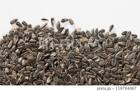 Sunflower black seeds on white background close up, nobody Sunflower black seeds on white background close up, nobody 119784067
