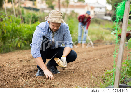Guy is planting seeds in open ground Guy is planting seeds in open ground 119784143