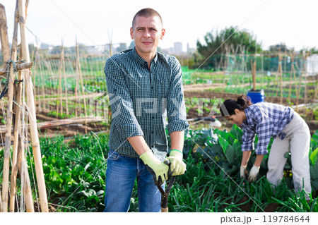 Man digs up the beds with shovel on farm field Man digs up the beds with shovel on farm field 119784644