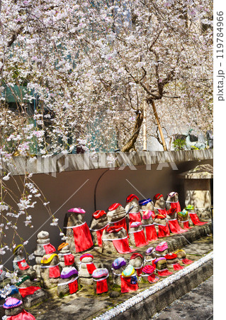 京都 紫雲山頂法寺 六角堂のお地蔵さんと枝垂れ桜と鳩みくじ（京都市中京区） 119784966