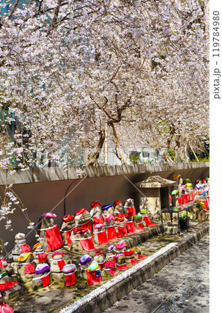 京都 紫雲山頂法寺 六角堂のお地蔵さんと枝垂れ桜と鳩みくじ(京都市中京区) 京都 紫雲山頂法寺 六角堂のお地蔵さんと枝垂れ桜と鳩みくじ(京都市中京区) 119784980