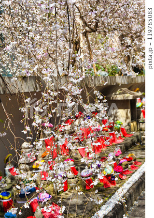 京都 紫雲山頂法寺 六角堂のお地蔵さんと枝垂れ桜と鳩みくじ(京都市中京区) 京都 紫雲山頂法寺 六角堂のお地蔵さんと枝垂れ桜と鳩みくじ(京都市中京区) 119785083