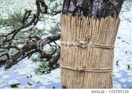 こも巻き 119785138