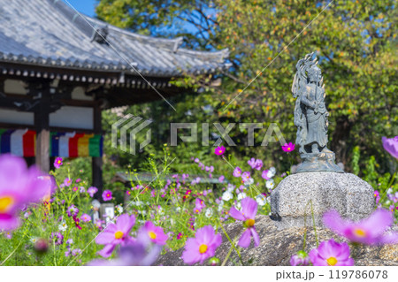 般若寺の不動明王が乗ったカンマン石とコスモス 119786078