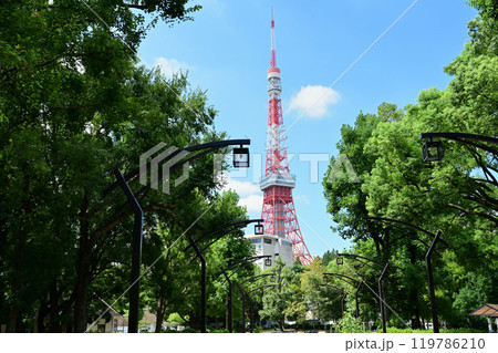 東京タワー 119786210