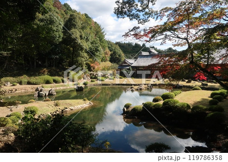 どんぐりが3つ どんぐりが3つ 119786358